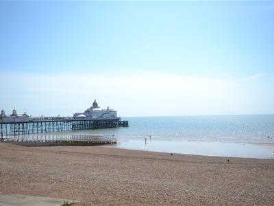 Picture 15